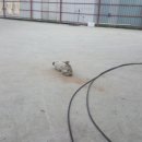 미쉐린세차장 이미지