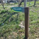 요월정 화장실 네이버블로그
