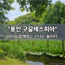 구갈레스피아 게이트볼장 | 아이들이 신나게 놀 수 있는 용인 구갈레스피아, 공원의 숨은 매력을 찾아서!