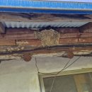 진서1농장 이미지