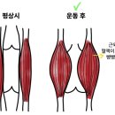 율트리