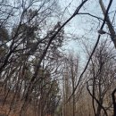 번개약수터 | 천마산 눈꽃산행, 초보 산행 추천, 상고대 산행