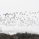 뚜루뚜루 이미지