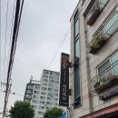 에린헤어 이미지