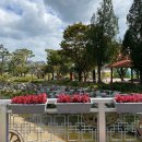 27200-가-74 | 경주 아이랑 가볼만한곳 - 30개월아기와 함께하는 경주 버드파크 / 동물 먹이주기 체험도 가능