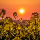 실버체조 이미지