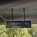 승원네생선가게 | [대구 달성군 옥포] 승원수산 본점 방문 후기 (점심특선, 회덮밥, 물회)