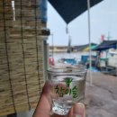 양양 솔바다 캠핑장