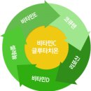 닥터하 칵테일 요법 - 항산화 오행 네트워크 이미지