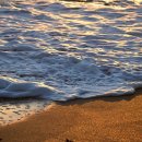 햇빛Hair 이미지