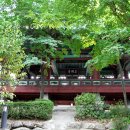 마을정자 옆 이미지