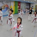 용인대튼튼태권도 이미지