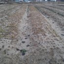 동면농장 이미지