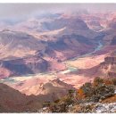 정든목장 이미지