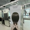 어논헤어(Anon hair) 이미지