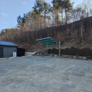 촌돼지와보리밥 이미지