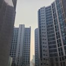 메낙골공원 | 신대방~보라매~신길 임장 아니고 그냥 다녀온 후기