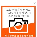 가인 마트