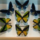 나비채생태공원 이미지