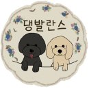 댕발란스 이미지