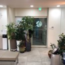 괴정참재활의학과의원 이미지