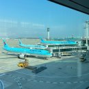 큐브스테이C | 15개월 아기와 베트남 푸꾸옥 비행기 생존기✈️ 기내 꿀팁 총정리!
