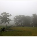 목장의아침 이미지