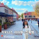 작은나무예술가(소품분재) | 리투아니아 카우나스 올드타운 쇼핑리스트 기념품 아이랑 다녀 온 후기