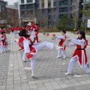 고일태권도 이미지