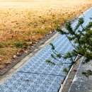 서울등명초등학교 이미지