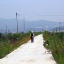 율곡천 3 이미지