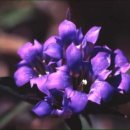 용 담 이미지