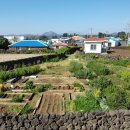 하도조아 이미지