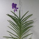 미생한의원 이미지