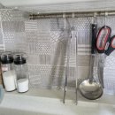 골드애견 이미지