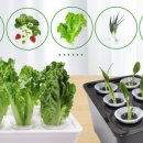 홈가드닝 이미지