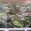 초부리유아숲체험원 이미지