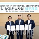 임성개발주