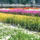 도담행복마을 이미지