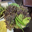 남대구요양병원 | [대구 가족 외식 추천/태전동 맛집/강남참숯돼지갈비 방문 후기]