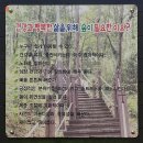 버스정류장 07-054 | □ 노음산 [(露陰山, 경북 상주), 100 명산+100, 숨은 244 명산]