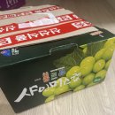 캠벨 | [고당도포도] 파머 앤 피셔맨 캠벨포도 후기