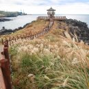 닭머르해안길 이미지