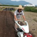 국대농장 이미지