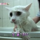 미루농장 이미지