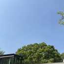 용인가든 | 북한산 우이천 카페 추천 _ (내돈내산 후기) 우이천 근처 서울 뷰 좋은 자연 카페 ‘카페 산아래’