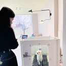 전주애견유치원 고마워복실아 이미지