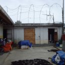 소안면-1 이미지