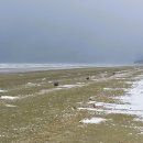 명사십리마을 이미지