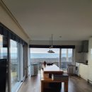 제주애아리 이미지